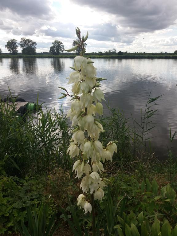Nad Odra Apartamento Widuchowa Exterior foto