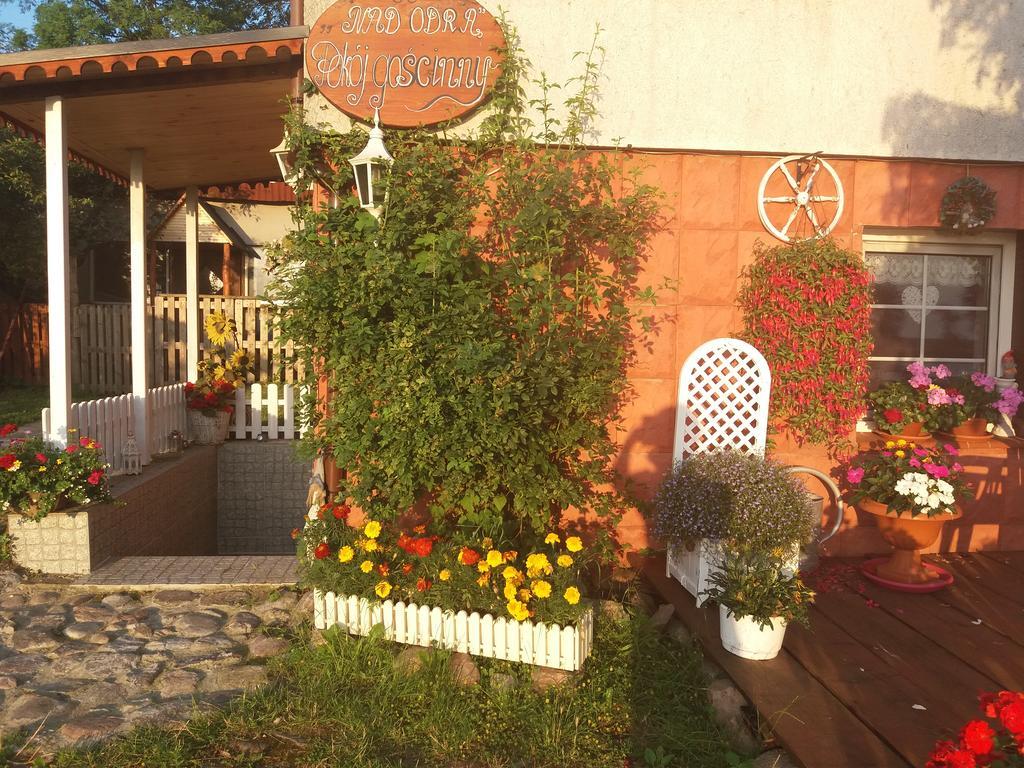 Nad Odra Apartamento Widuchowa Exterior foto